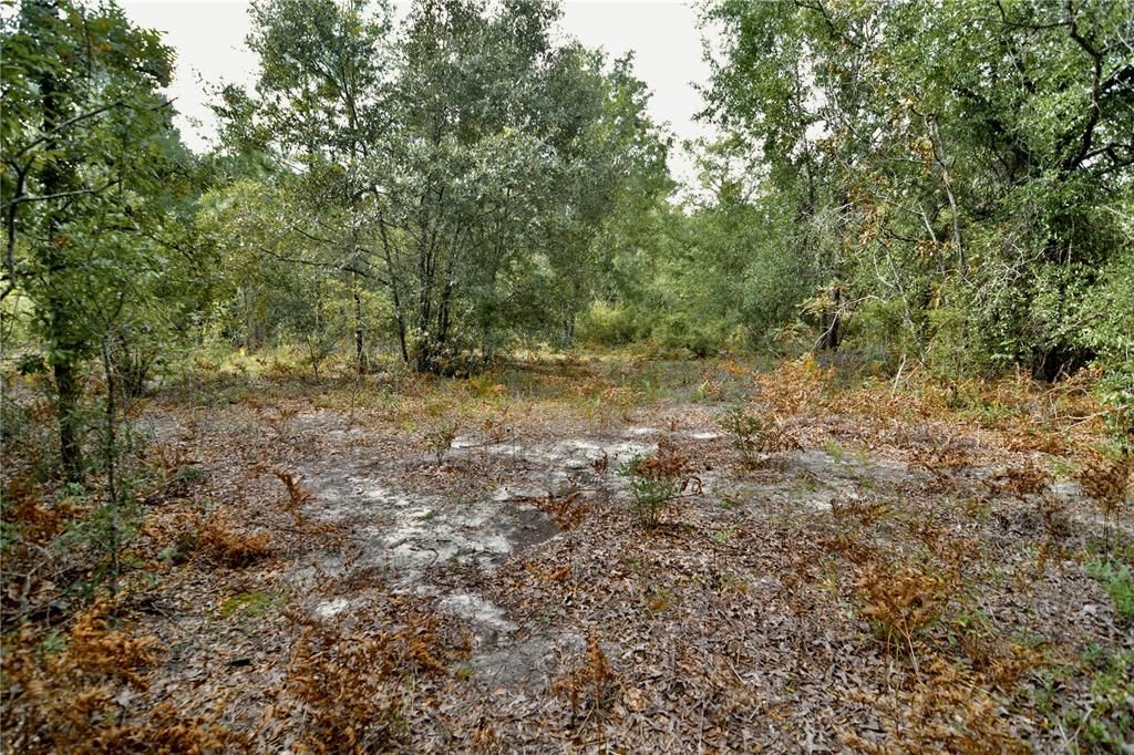 For Sale: $239,999 (40.01 acres)