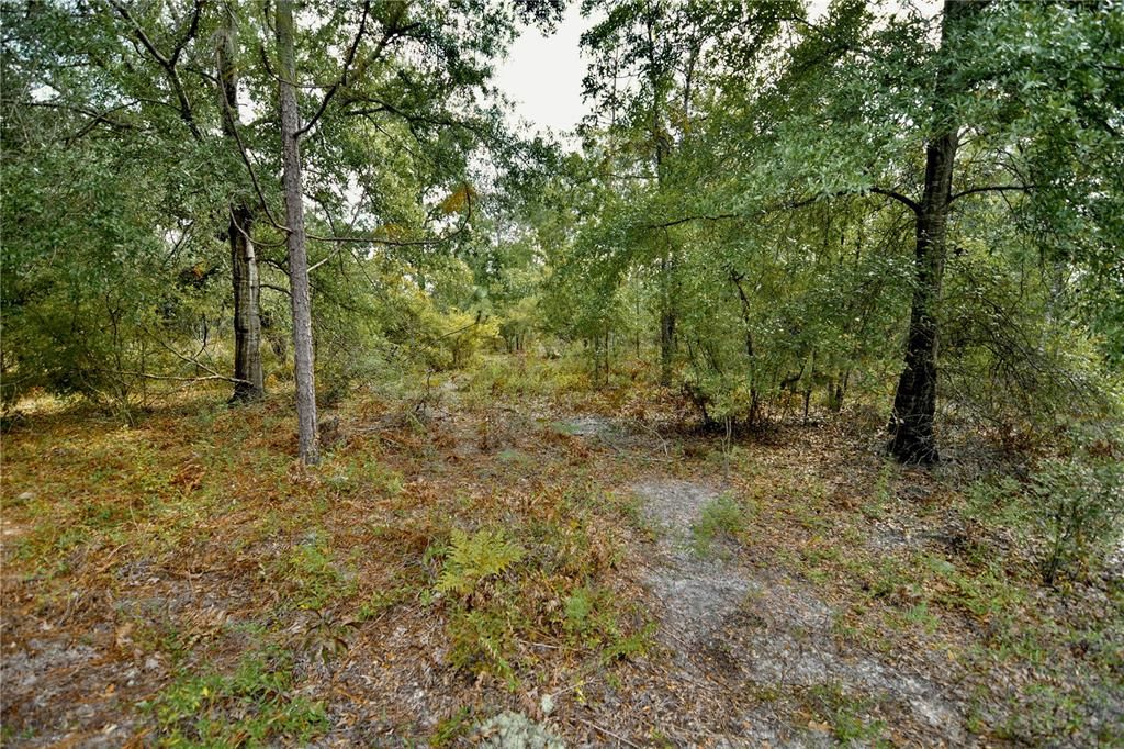 For Sale: $239,999 (40.01 acres)
