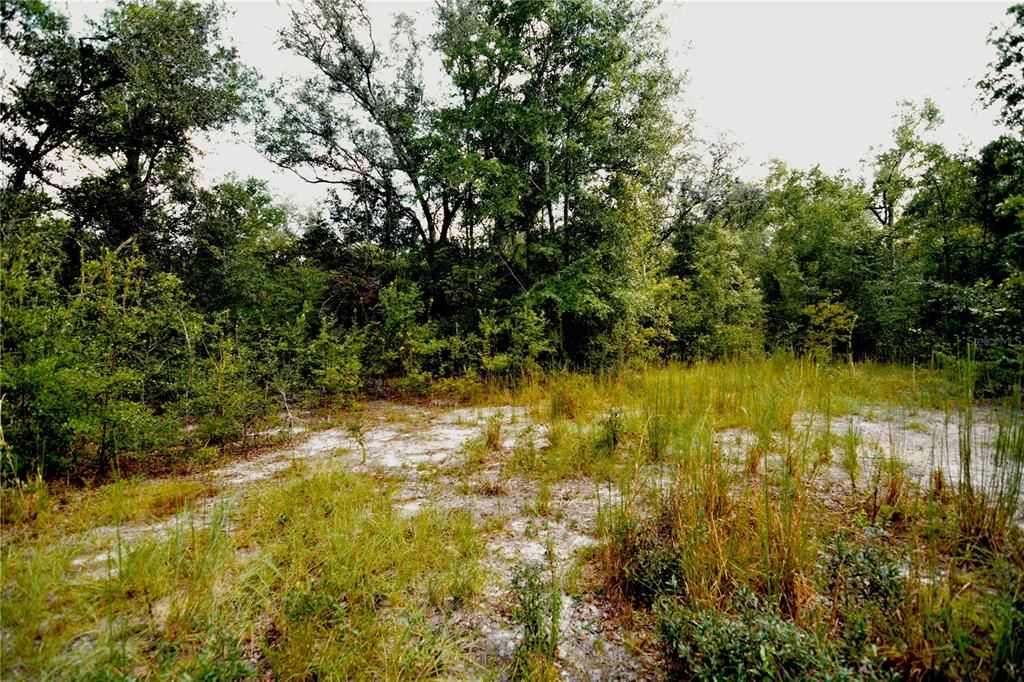 For Sale: $239,999 (40.01 acres)