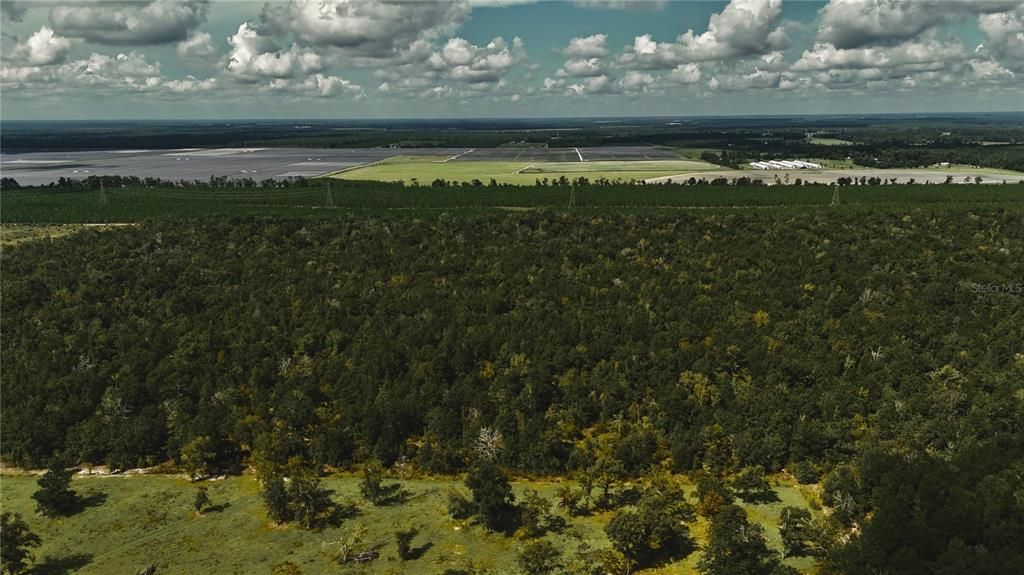 For Sale: $239,999 (40.01 acres)