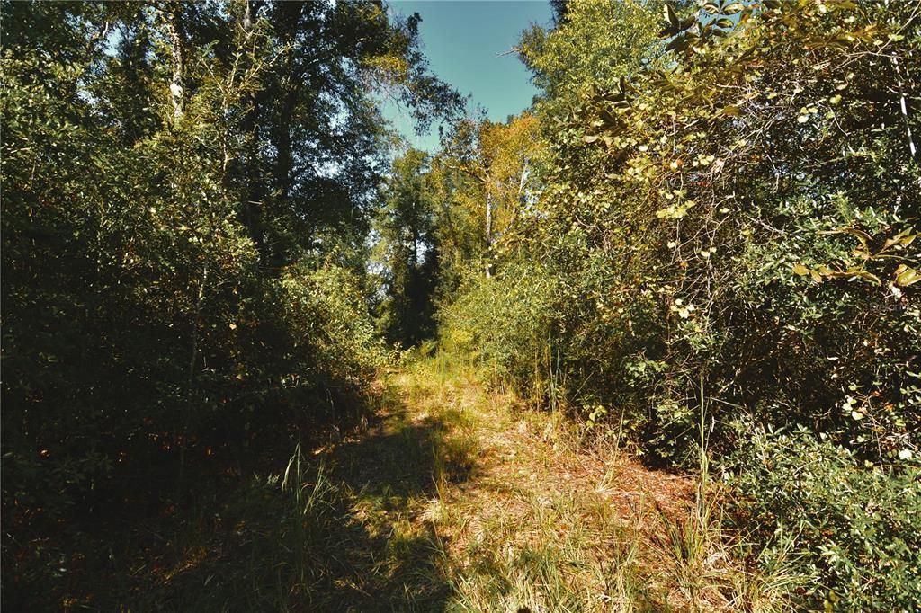 For Sale: $239,999 (40.01 acres)