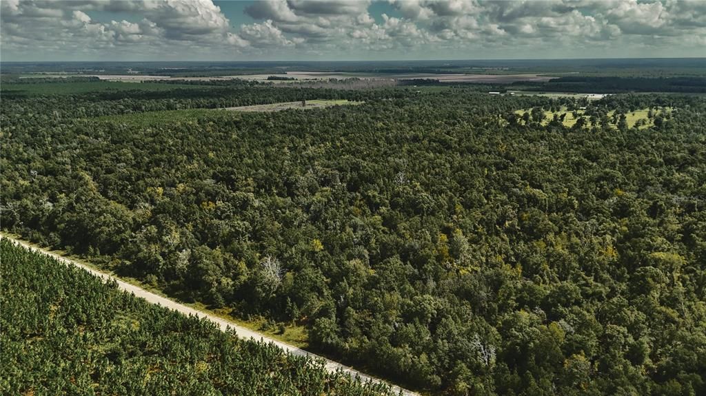 For Sale: $239,999 (40.01 acres)