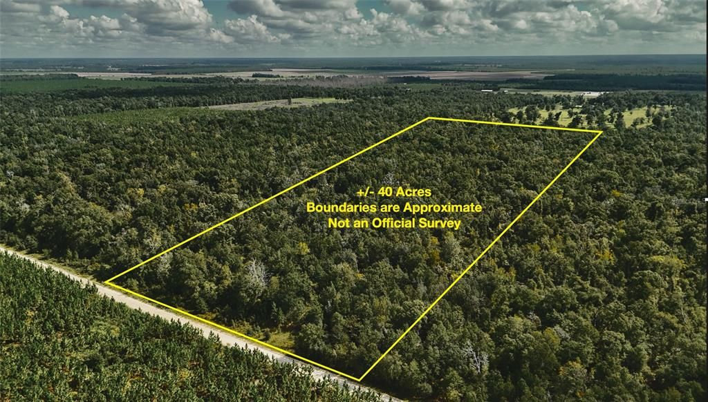 For Sale: $239,999 (40.01 acres)