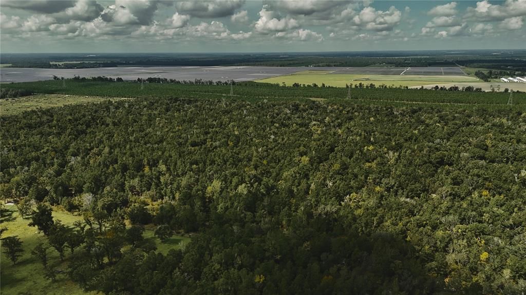 For Sale: $239,999 (40.01 acres)