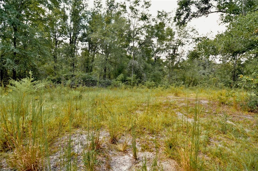 For Sale: $239,999 (40.01 acres)