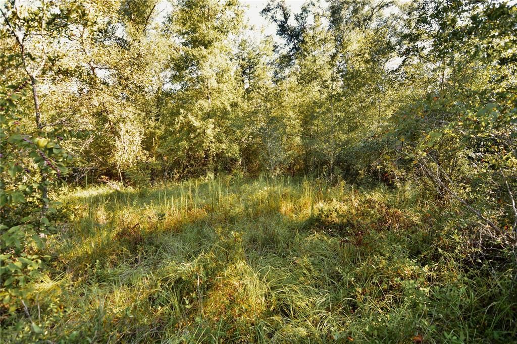 For Sale: $239,999 (40.01 acres)