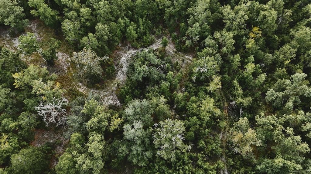 For Sale: $239,999 (40.01 acres)