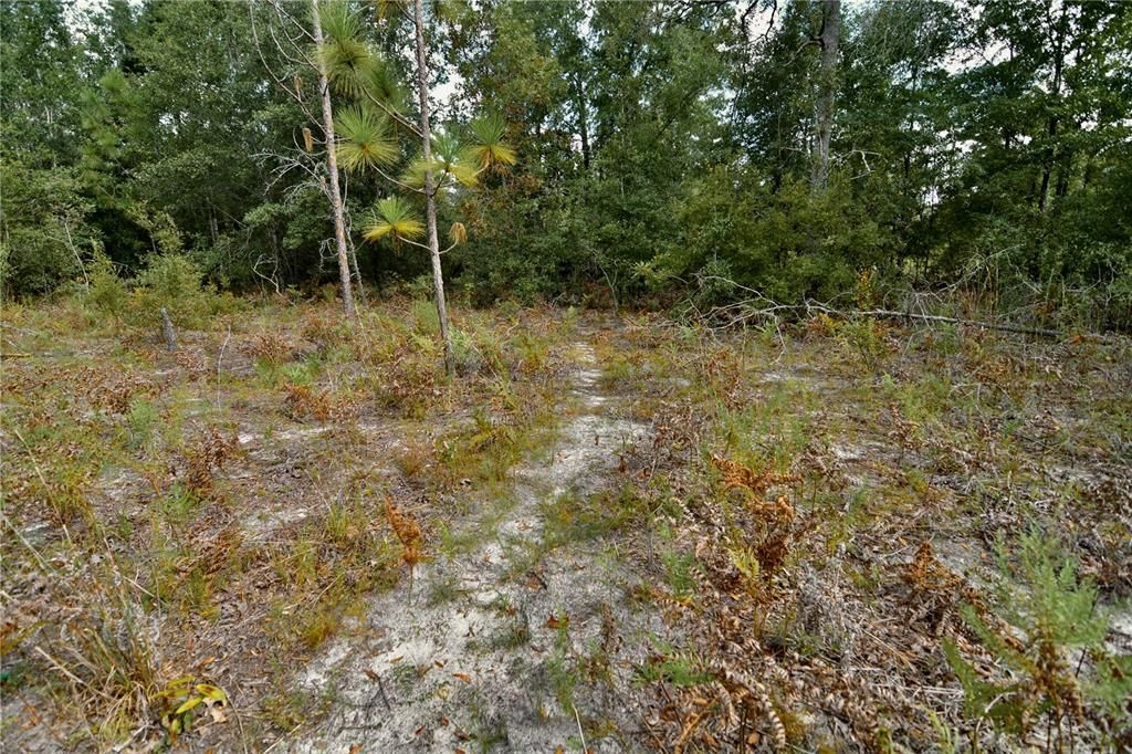 For Sale: $239,999 (40.01 acres)