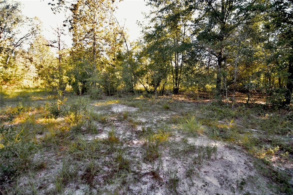 For Sale: $239,999 (40.01 acres)