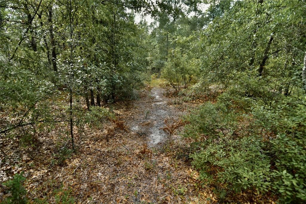 For Sale: $239,999 (40.01 acres)