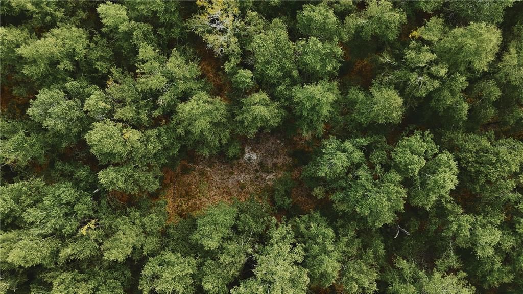 For Sale: $239,999 (40.01 acres)