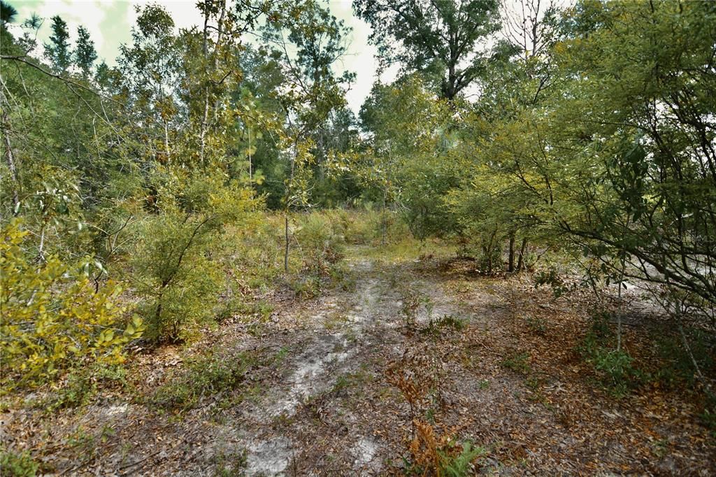 For Sale: $239,999 (40.01 acres)