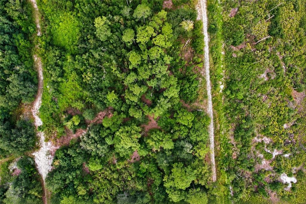 На продажу: $30,000 (0.23 acres)