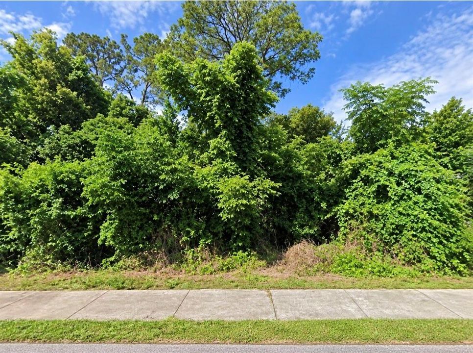 For Sale: $75,000 (0.29 acres)