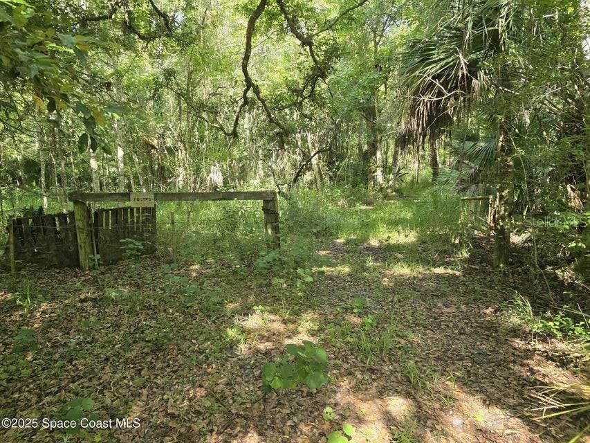 For Sale: $499,000 (10.07 acres)
