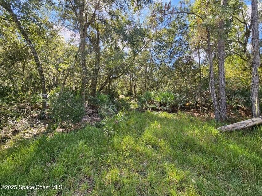 For Sale: $499,000 (10.07 acres)