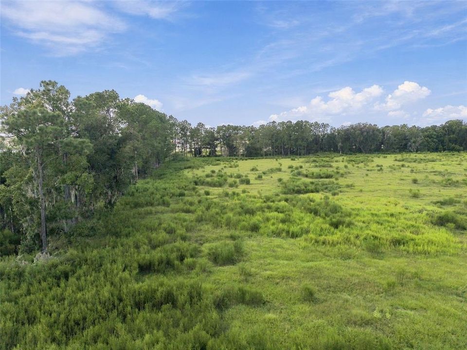 For Sale: $1,650,000 (10.00 acres)