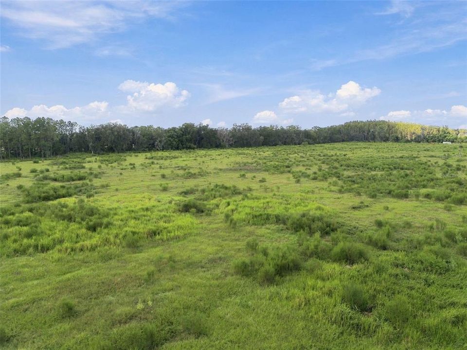 For Sale: $1,650,000 (10.00 acres)