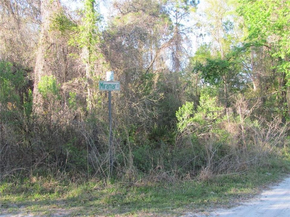 For Sale: $25,000 (0.39 acres)