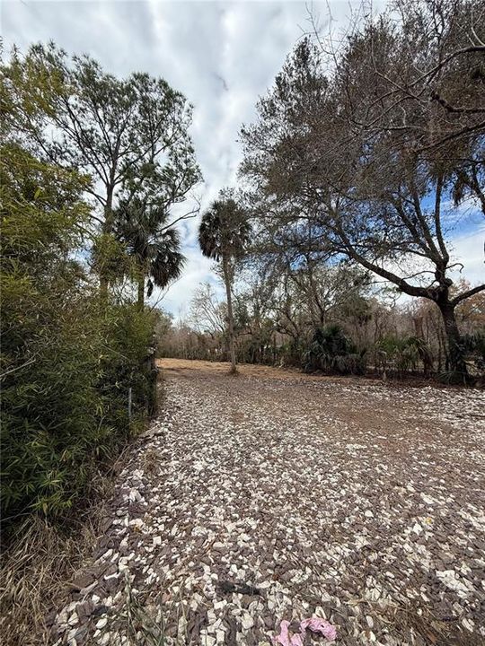 待售: $249,999 (3.03 acres)