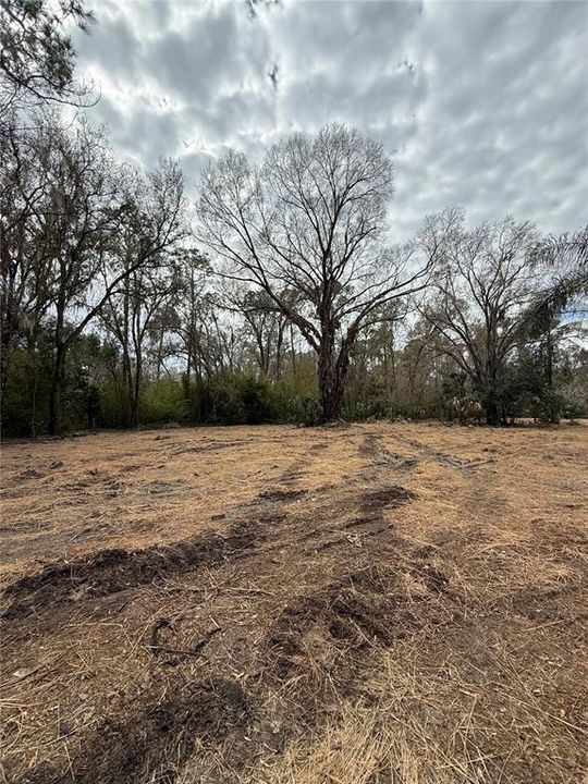待售: $249,999 (3.03 acres)