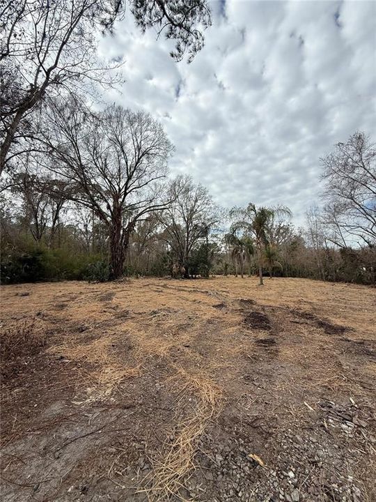 待售: $249,999 (3.03 acres)