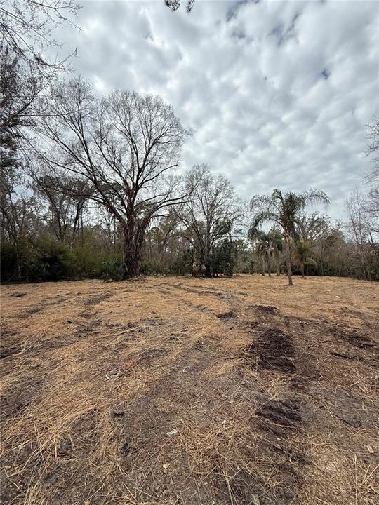待售: $249,999 (3.03 acres)