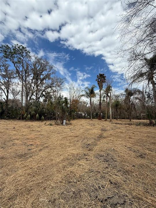 待售: $249,999 (3.03 acres)