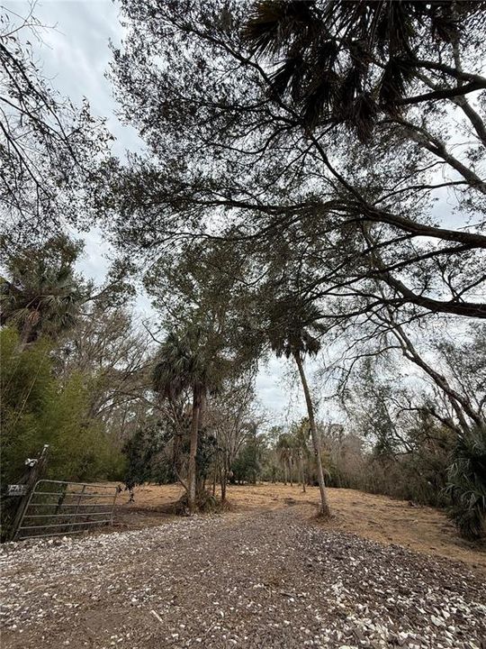 待售: $249,999 (3.03 acres)