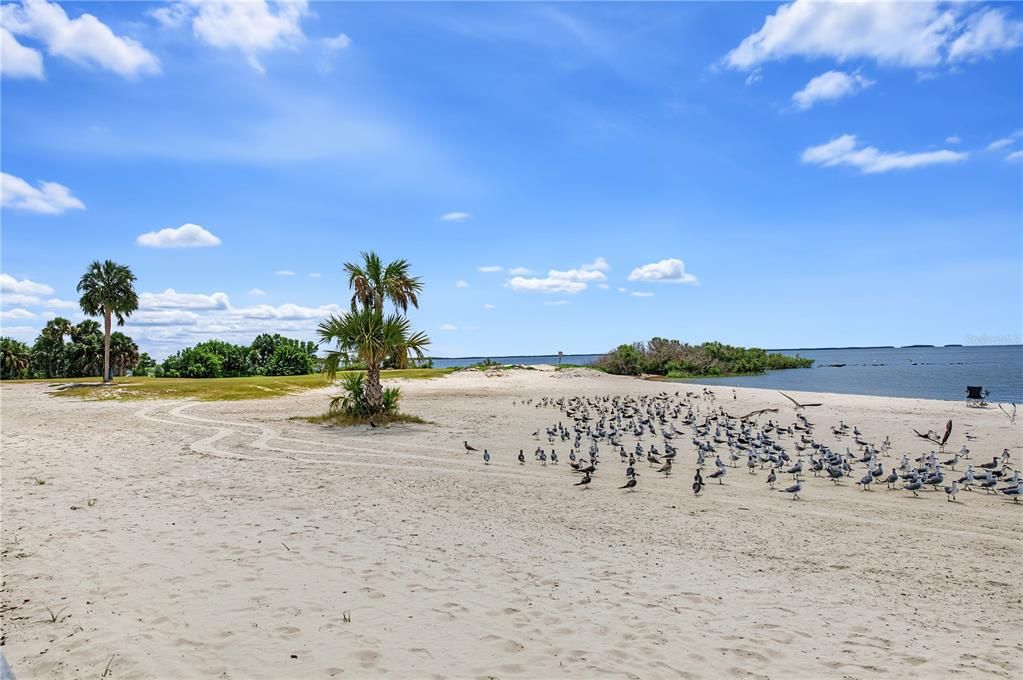 На продажу: $99,900 (0.22 acres)