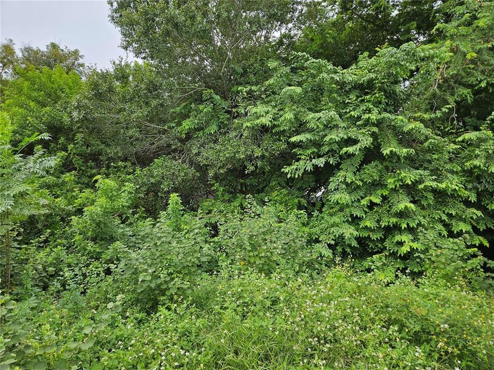 En Venta: $220,000 (0.30 acres)