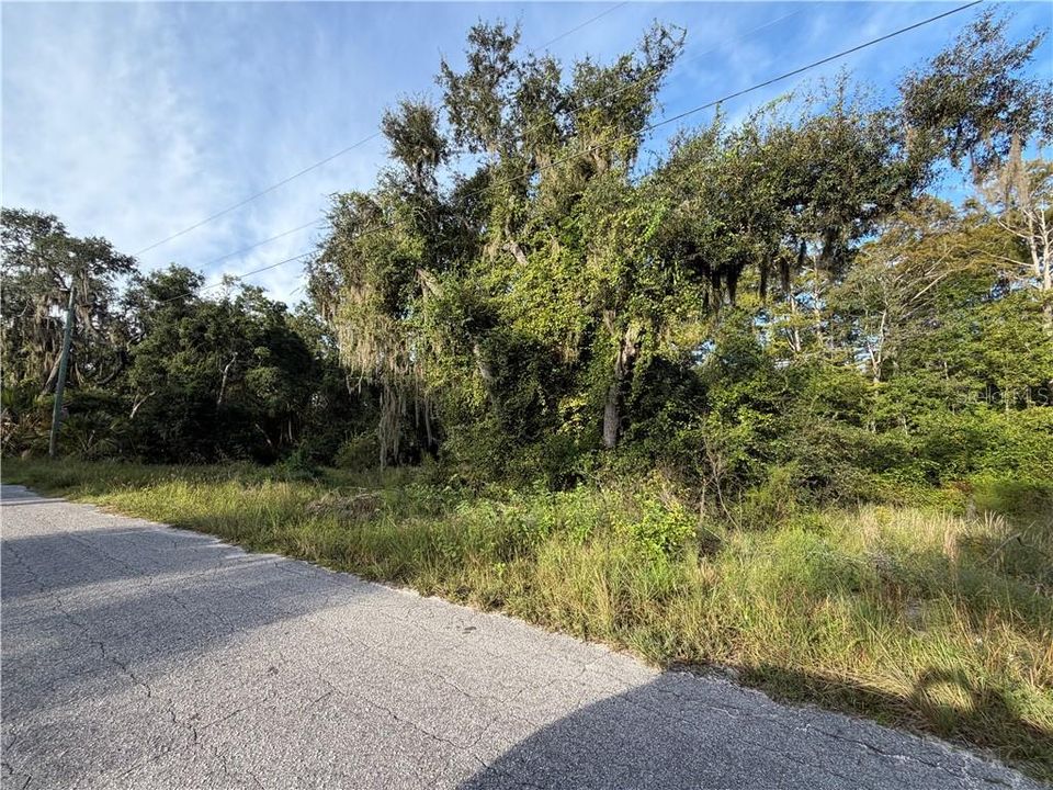 待售: $27,000 (0.50 acres)