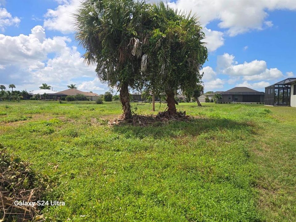 На продажу: $47,000 (0.22 acres)