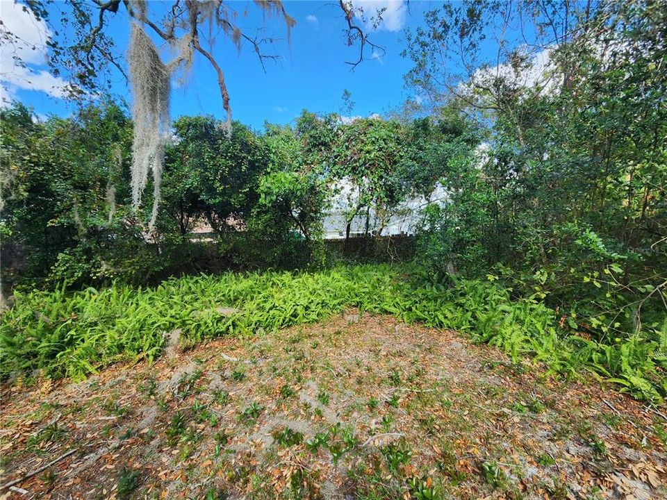For Rent: $1,695 (3 beds, 2 baths, 1350 Square Feet)