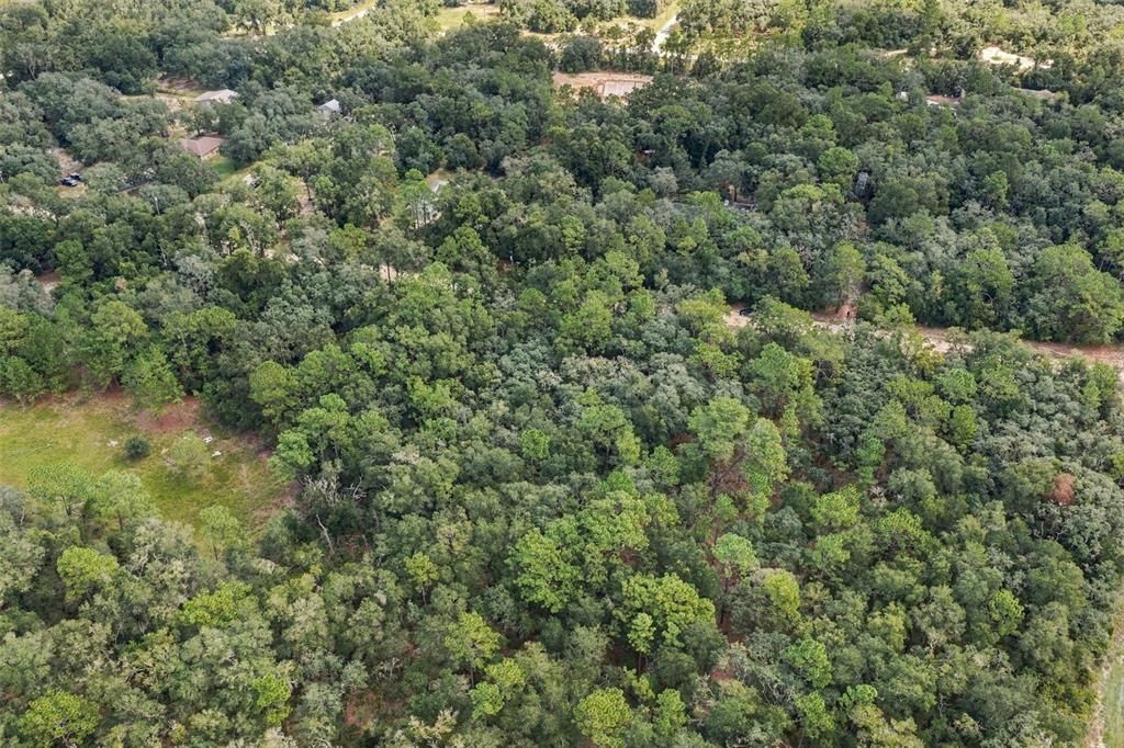 На продажу: $40,000 (1.20 acres)