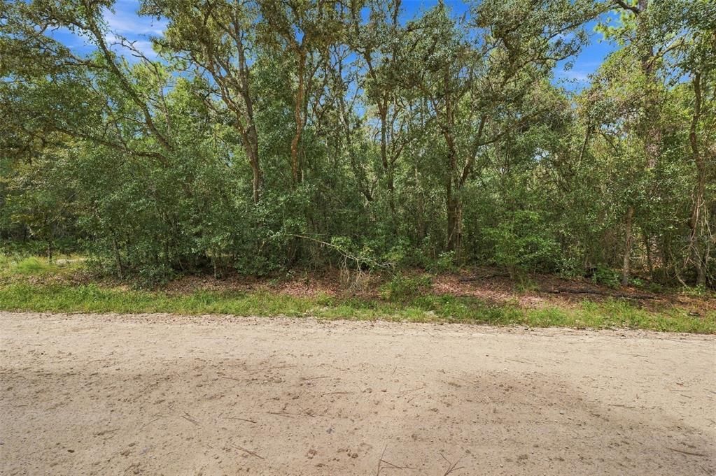 На продажу: $40,000 (1.20 acres)