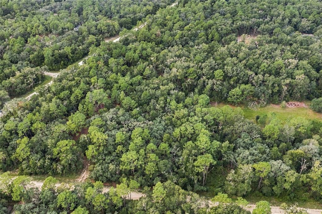 На продажу: $40,000 (1.20 acres)