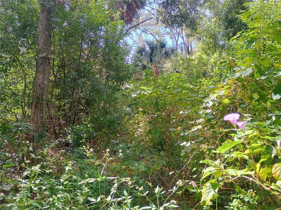 待售: $650,000 (6.57 acres)