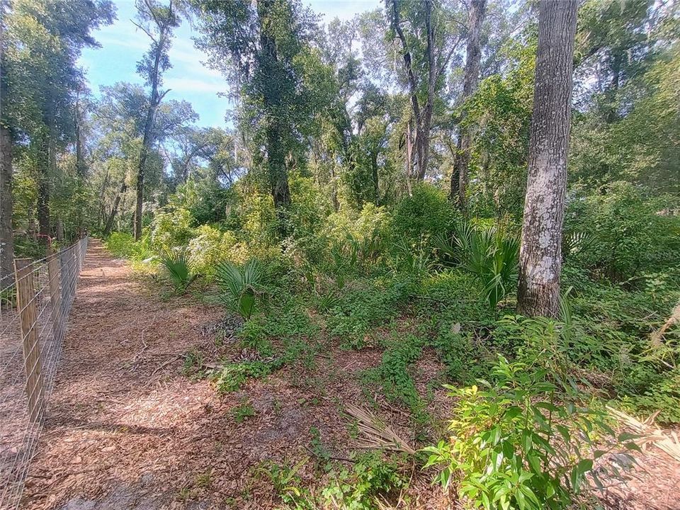 待售: $650,000 (6.57 acres)