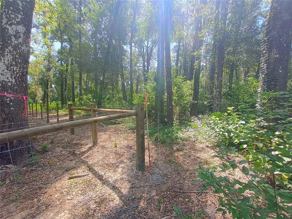 待售: $650,000 (6.57 acres)