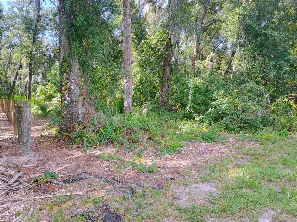 待售: $650,000 (6.57 acres)
