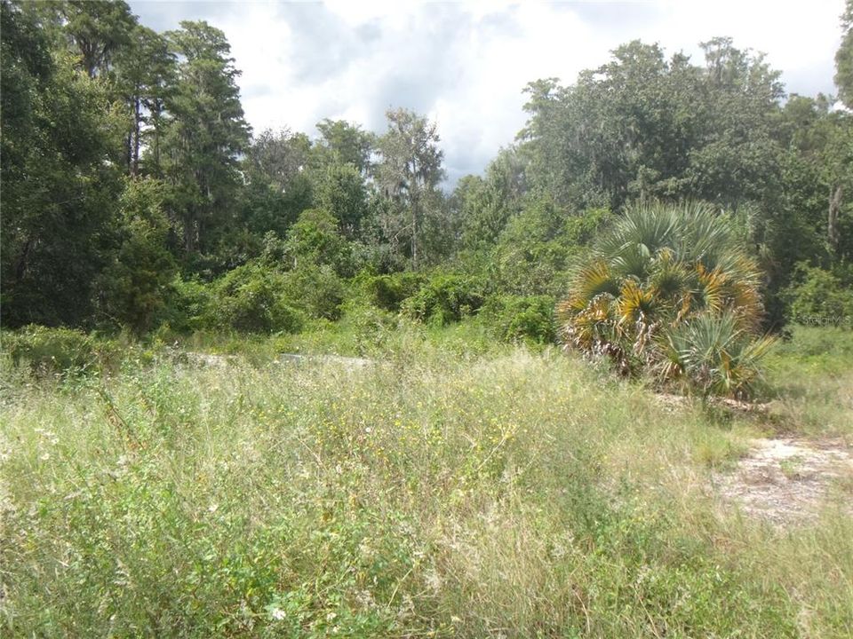 For Sale: $175,900 (2.69 acres)