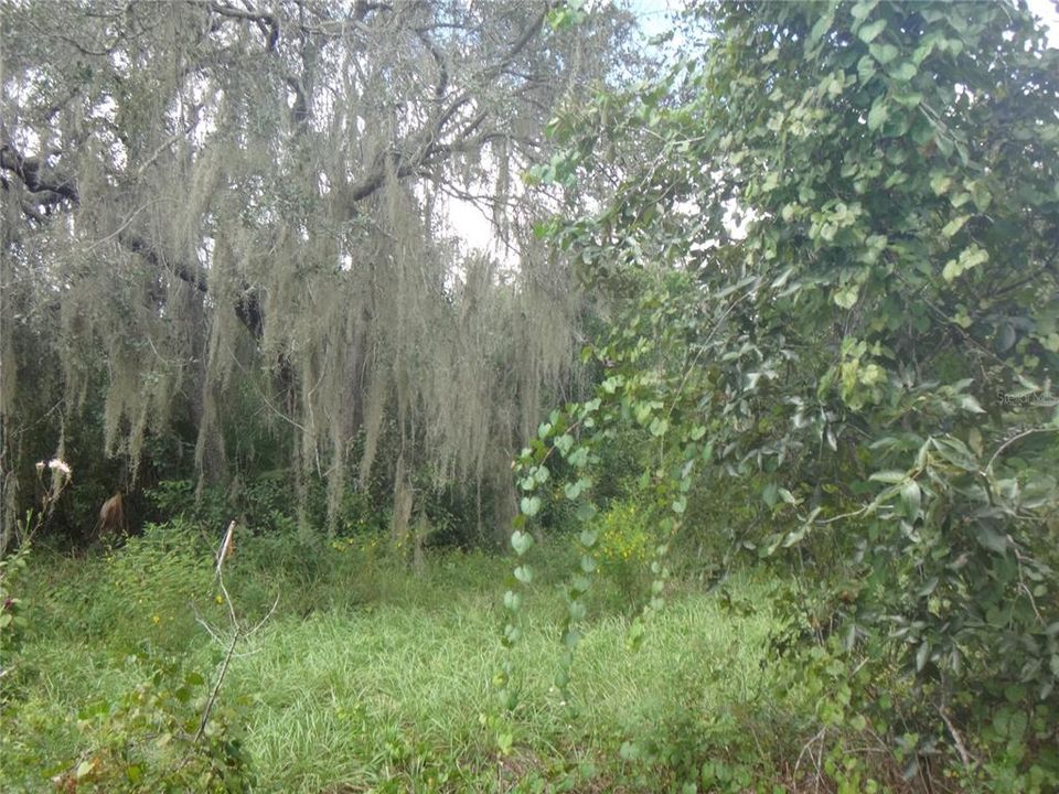 For Sale: $175,900 (2.69 acres)