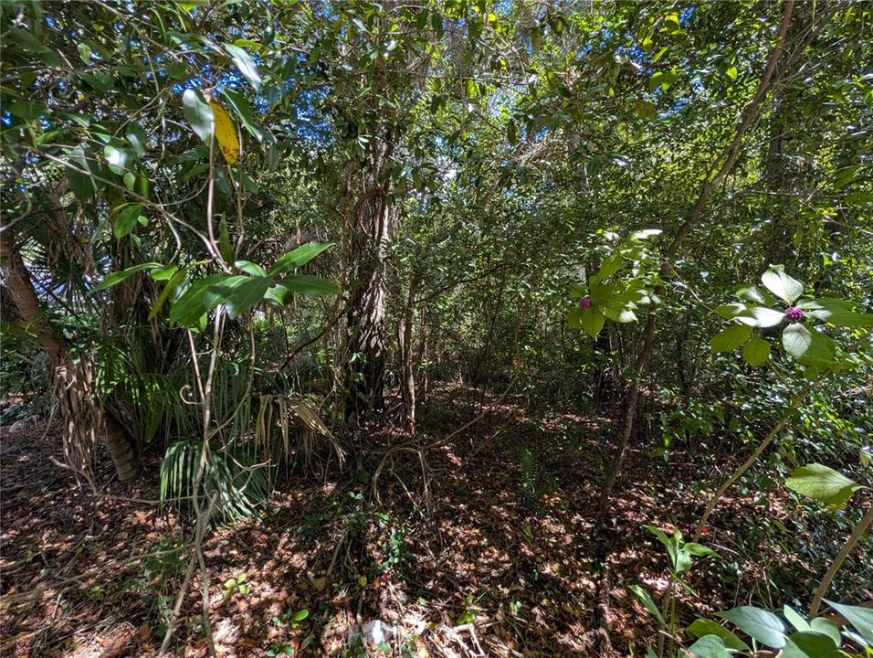 En Venta: $54,900 (0.43 acres)
