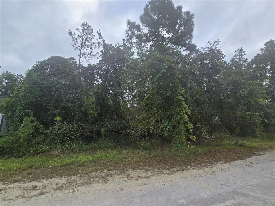 For Sale: $54,900 (0.46 acres)