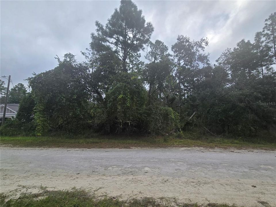 For Sale: $54,900 (0.46 acres)