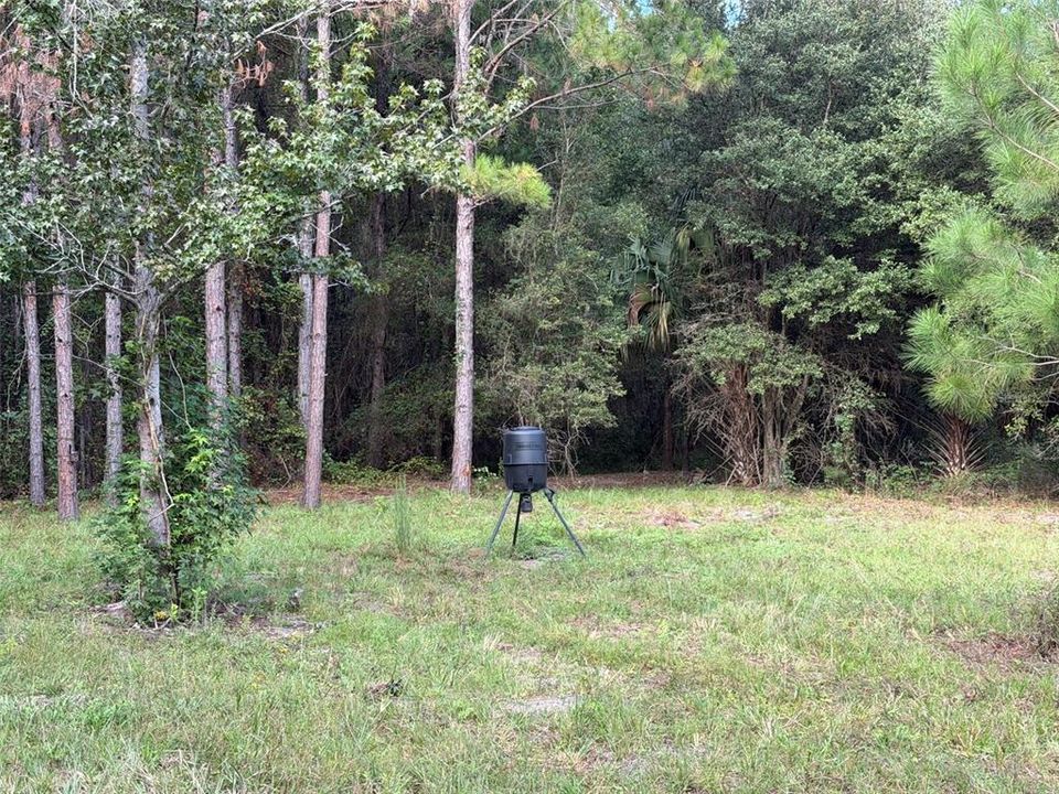 For Sale: $990,000 (55.00 acres)