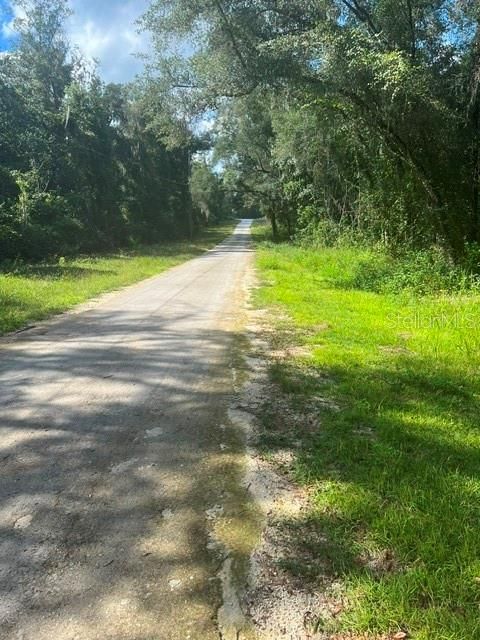 待售: $48,900 (1.30 acres)