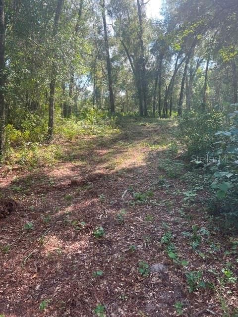 待售: $48,900 (1.30 acres)