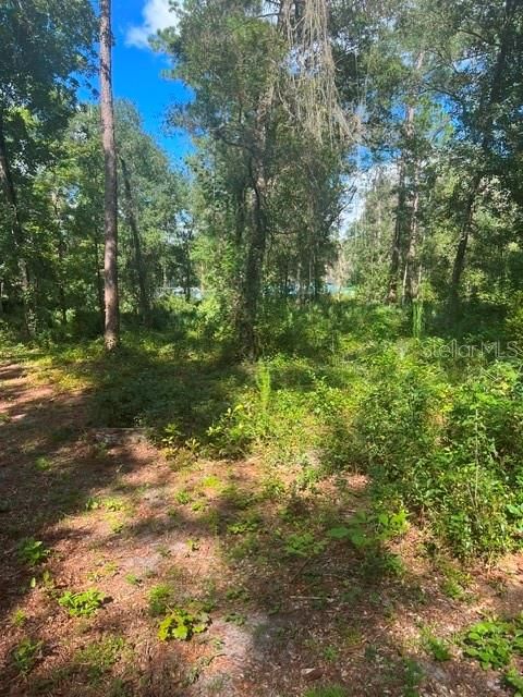 待售: $48,900 (1.30 acres)